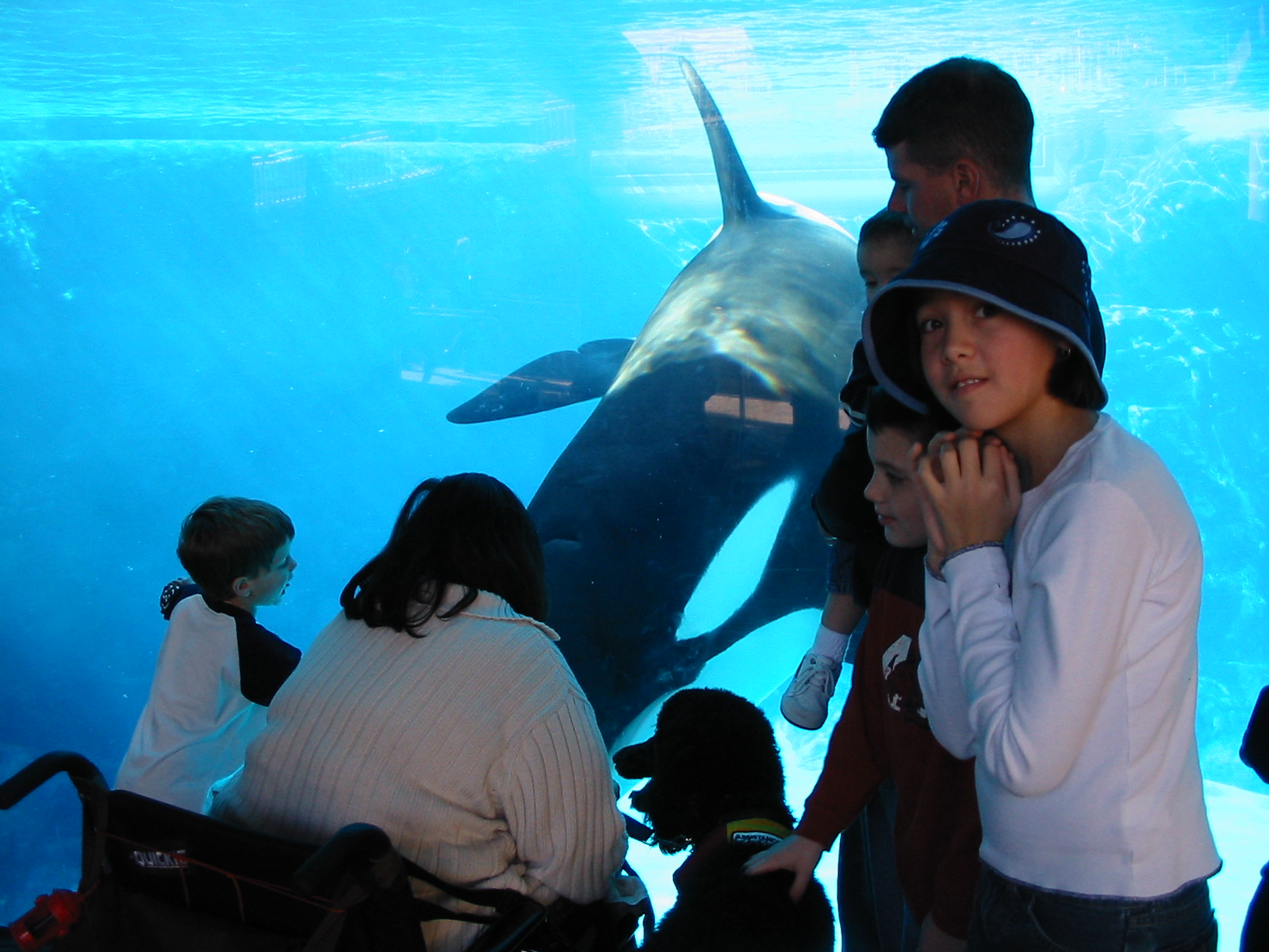 HeidiShamu.jpg